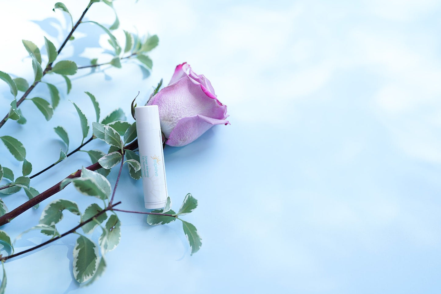 Sheer Mineral Lip Sunscreen